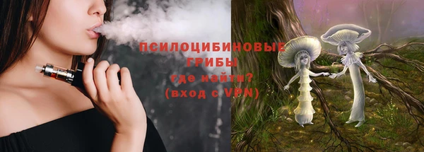 гашик Аркадак