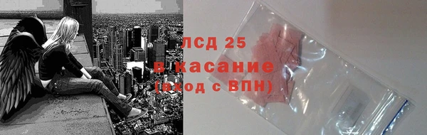 гашик Аркадак