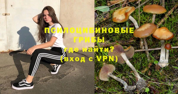 ешки Армянск