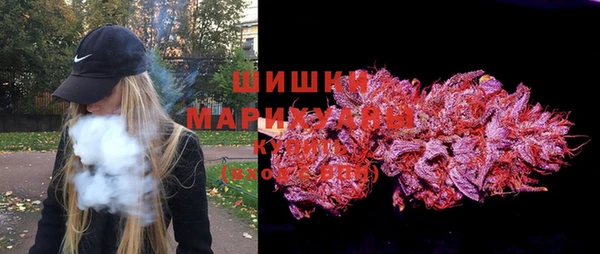 гашик Аркадак