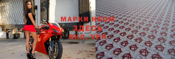 гашик Аркадак